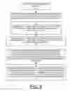 Fig. 13 - Implementing extent granularity authorization processing in CAPI adapters