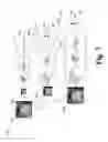 Fig. 07 - Object detection using cascaded convolutional neural networks