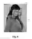 Fig. 08 - Object detection using cascaded convolutional neural networks