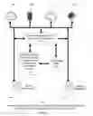 Fig. 03 - Revenue and productivity optimization system with environmental sensor-connected smart bell
