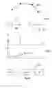 Fig. 05 - Gesture-based editing of 3D models for hair transplantation applications