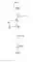 Fig. 07 - Organic light-emitting display device and method of driving the same