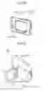 Fig. 15 - Display device, electronic apparatus, and color conversion method