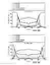 Fig. 07 - Nuclear fission igniter