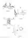 Fig. 04 - Method of assembling a transformer