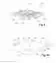Fig. 06 - OPERATOR CONTROL DEVICE FOR AN ELECTRICAL APPLIANCE AND ELECTRICAL APPLIANCE