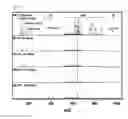 Fig. 07 - METHOD FOR OBTAINING MASS SPECTRUM OF IONS GENERATED AT CONSTANT TEMPERATURE BY MEASURING TOTAL ION COUNT, AND USE OF MATRIX FOR QUANTITATIVE ANALYSIS USING MALDI MASS SPECTROMETRY