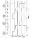 Fig. 03 - Selective inhibition in atomic layer deposition of silicon-containing films