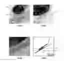 Fig. 07 - Polycrystalline semiconductor nanostructured material