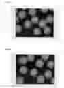 Fig. 02 - Cu core ball