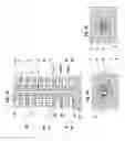 Fig. 02 - Metal word lines for three dimensional memory devices