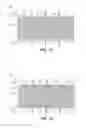 Fig. 04 - Multi-layer extraordinary optical transmission filter systems, devices, and methods