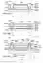 Fig. 36 - Light-emitting element having an optical function film including a reflection layer
