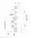 Fig. 09 - FINFET structure