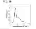 Fig. 17 - Oxide semiconductor film