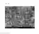 Fig. 04 - Agglomerated precursor for manufacturing light absorption layer of solar cells and method of manufacturing the same