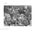 Fig. 10 - Agglomerated precursor for manufacturing light absorption layer of solar cells and method of manufacturing the same