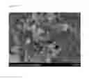 Fig. 11 - Agglomerated precursor for manufacturing light absorption layer of solar cells and method of manufacturing the same