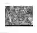 Fig. 13 - Agglomerated precursor for manufacturing light absorption layer of solar cells and method of manufacturing the same