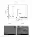 Fig. 16 - Agglomerated precursor for manufacturing light absorption layer of solar cells and method of manufacturing the same