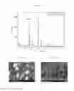 Fig. 19 - Agglomerated precursor for manufacturing light absorption layer of solar cells and method of manufacturing the same