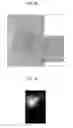 Fig. 08 - ELECTRONIC DEVICE AND METHOD FOR FABRICATING THE SAME