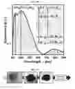 Fig. 18 - PEROVSKITES FOR OPTOELECTRONIC APPLICATIONS