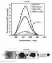 Fig. 38 - PEROVSKITES FOR OPTOELECTRONIC APPLICATIONS