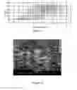 Fig. 06 - Microporous membrane separators for lithium ion rechargeable batteries and related methods