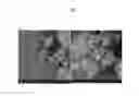 Fig. 04 - Lithium ion batteries
