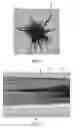 Fig. 06 - Methods for forming electrode materials for lithium-based batteries
