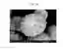 Fig. 05 - Positive active material for rechargeable lithium battery, method of preparing same, and rechargeable lithium battery including same