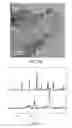Fig. 07 - Positive electrode for sulfur-based batteries