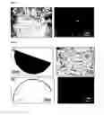 Fig. 04 - Electrolyte membrane for liquid anode cell battery