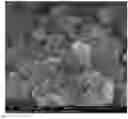 Fig. 01 - Novel Non-Platinum Metal Catalyst Material