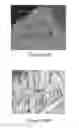 Fig. 09 - MULTILAYERED NANOSTRUCTURED FILMS