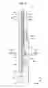 Fig. 07 - Resin-framed membrane-electrode assembly for fuel cell