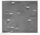 Fig. 01 - ELECTROLYTE MEMBRANE, MEMBRANE-ELECTRODE ASSEMBLY, AND SOLID POLYMER FUEL CELL