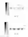 Fig. 05 - MICROSTRIP ANTENNA STRUCTURE AND MICROWAVE IMAGING SYSTEM USING THE SAME