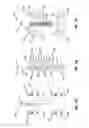 Fig. 19 - Low profile faceplate having managed connectivity