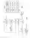 Fig. 43 - Magnetic capacitor energy module and applications thereof