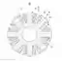 Fig. 01 - Rotor of wound rotor synchronous motor