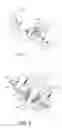 Fig. 02 - Water-resistant motor and end bell