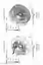 Fig. 04 - Internal pressure attenuator device for rotating electrical machines able to operate in explosive atmospheres