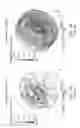 Fig. 05 - Internal pressure attenuator device for rotating electrical machines able to operate in explosive atmospheres