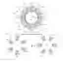 Fig. 01 - Brushless direct current electric motor and electric power steering system
