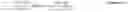 Fig. 10 - High power factor primary regulated offline LED driver
