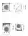 Fig. 57 - Robust triboelectric nanogenerator based on rolling electrification
