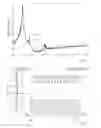 Fig. 04 - Electroacoustic transducer with improved suppression of unwanted modes