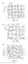Fig. 09 - Method for forming metal mesh pattern and touch panel
